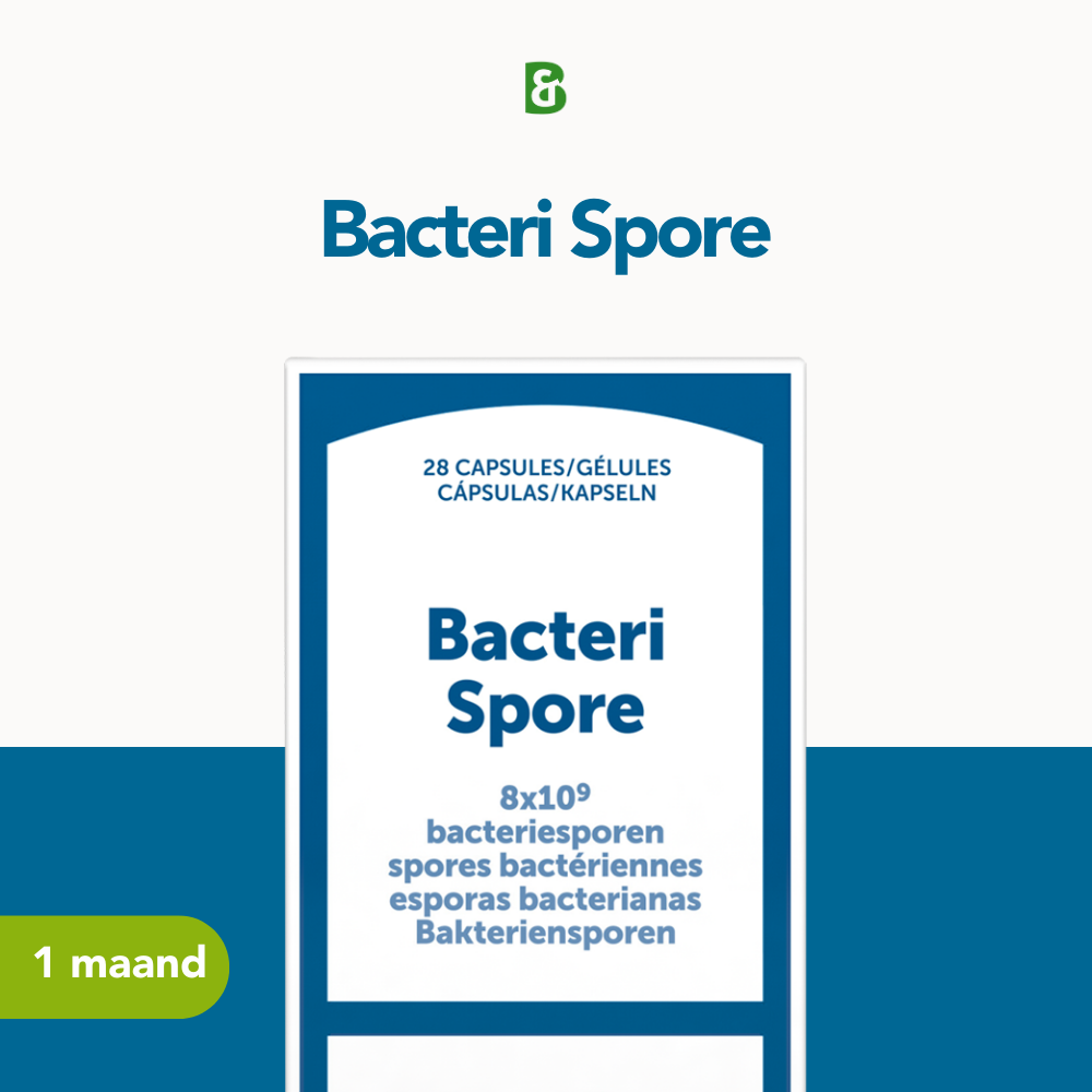 Bacteri Spore Bacteri Spore