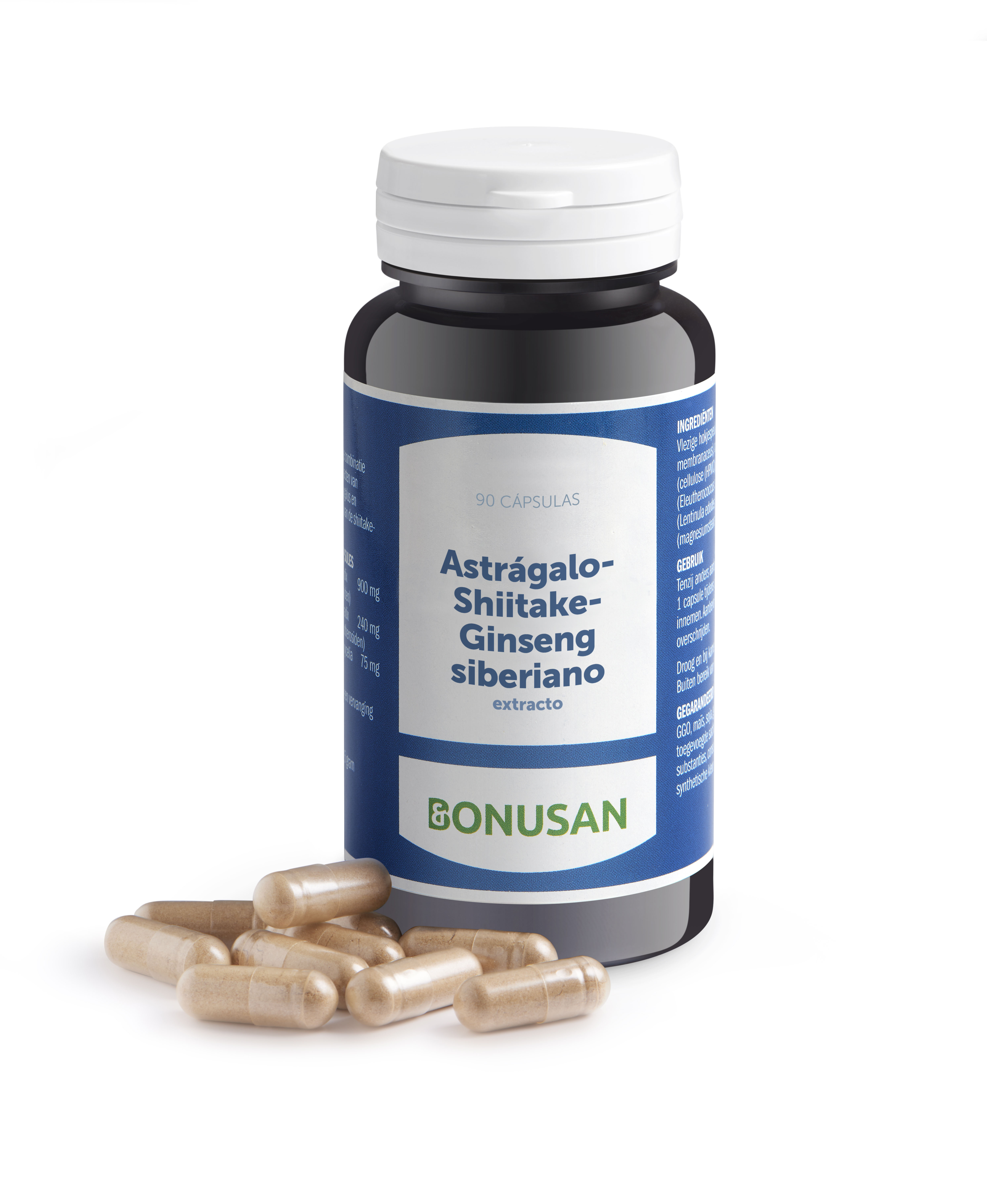 Astrágalo-Shiitake-Ginseng Siberiano extracto