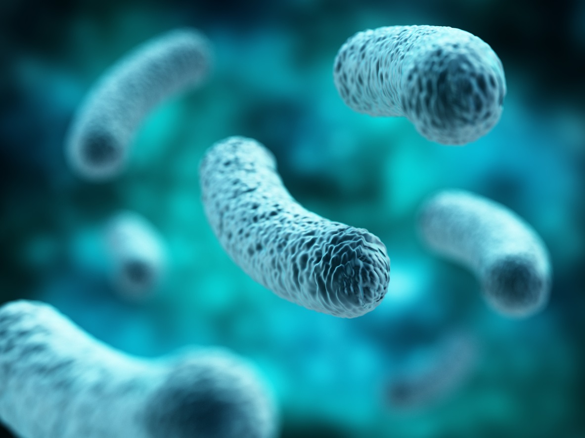 ¿Qué es el microbioma intestinal?