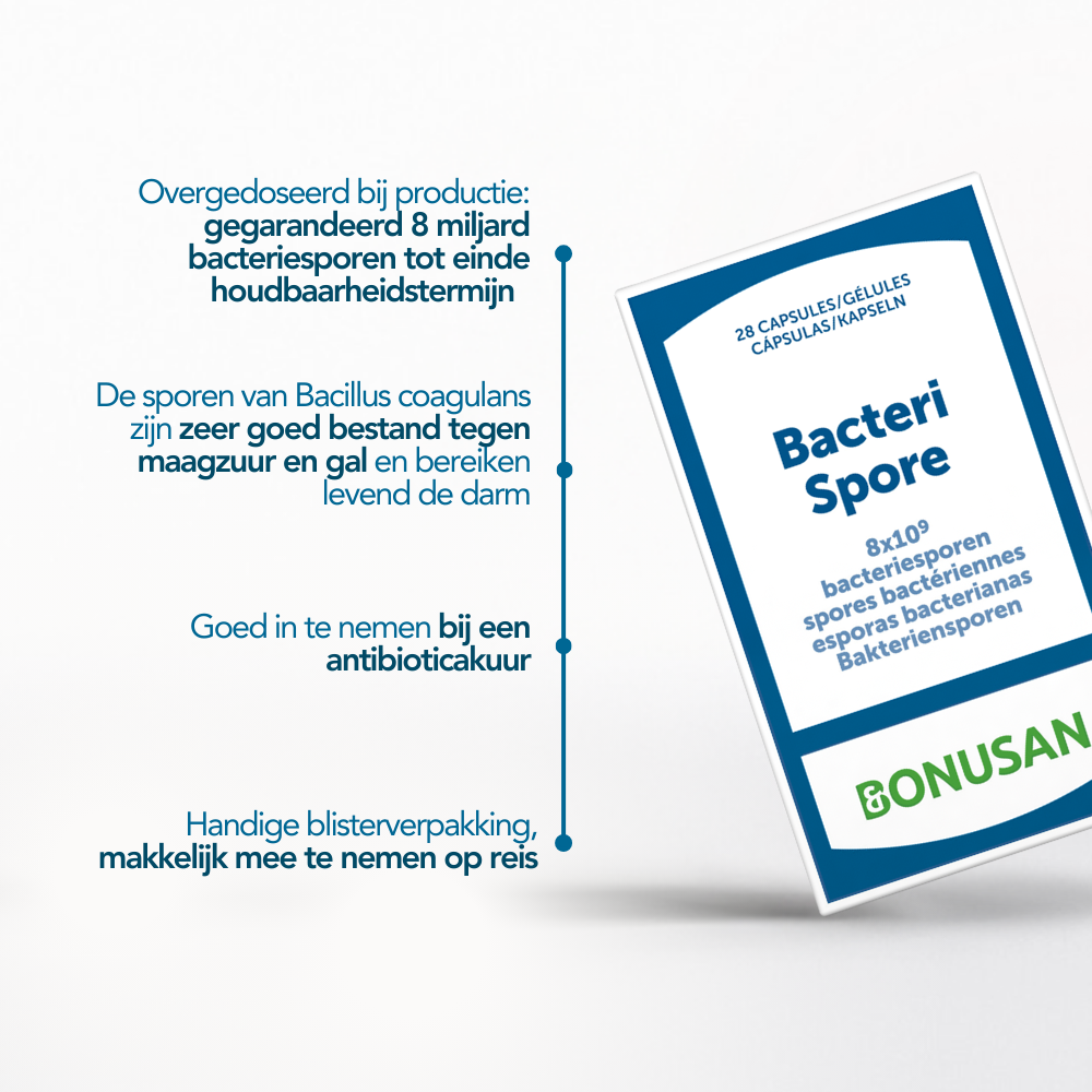 Bacteri Spore Bacteri Spore