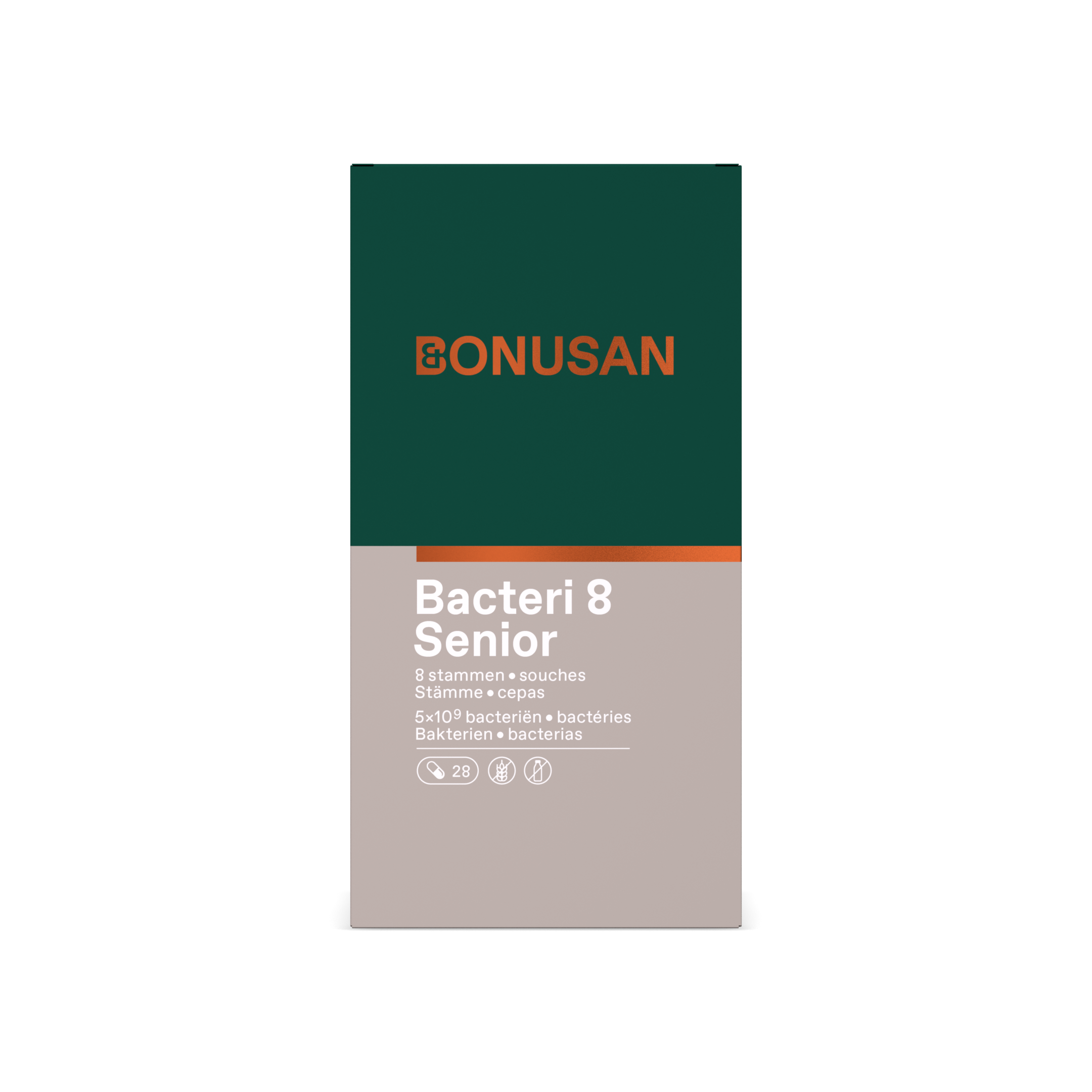 Bacteri 8 Senior