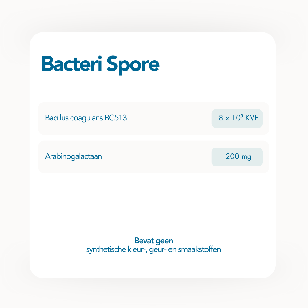 Bacteri Spore Bacteri Spore
