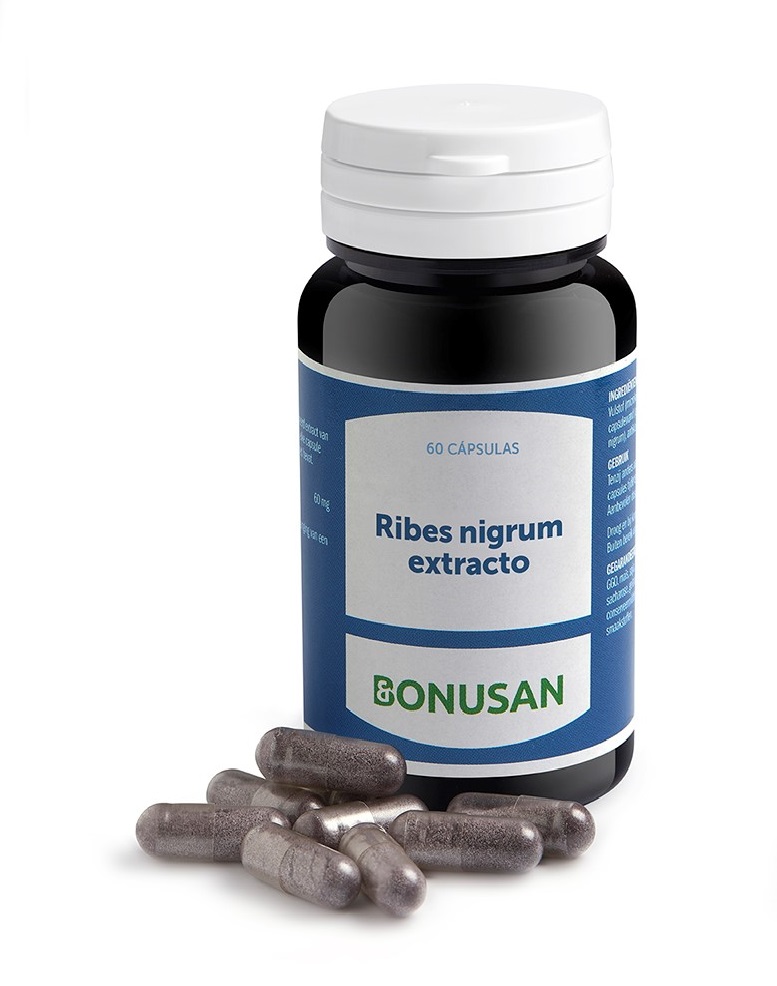 Ribes nigrum extracto